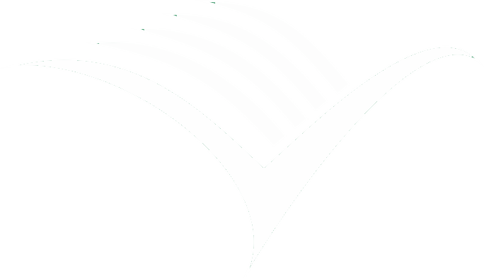Ecos, significados y sentidos.Debates actuales sobre Derechos Humanos en contextos diversos. Volumen II.