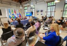 Políticas Públicas y Derechos Humanos